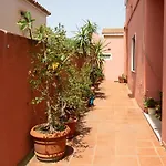 L\'Elicriso